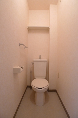 Toilet. Toilet