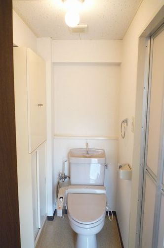 Toilet. Convenient storage with toilet!