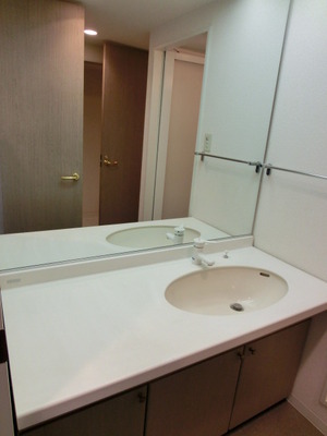 Washroom. Washbasin large mirror