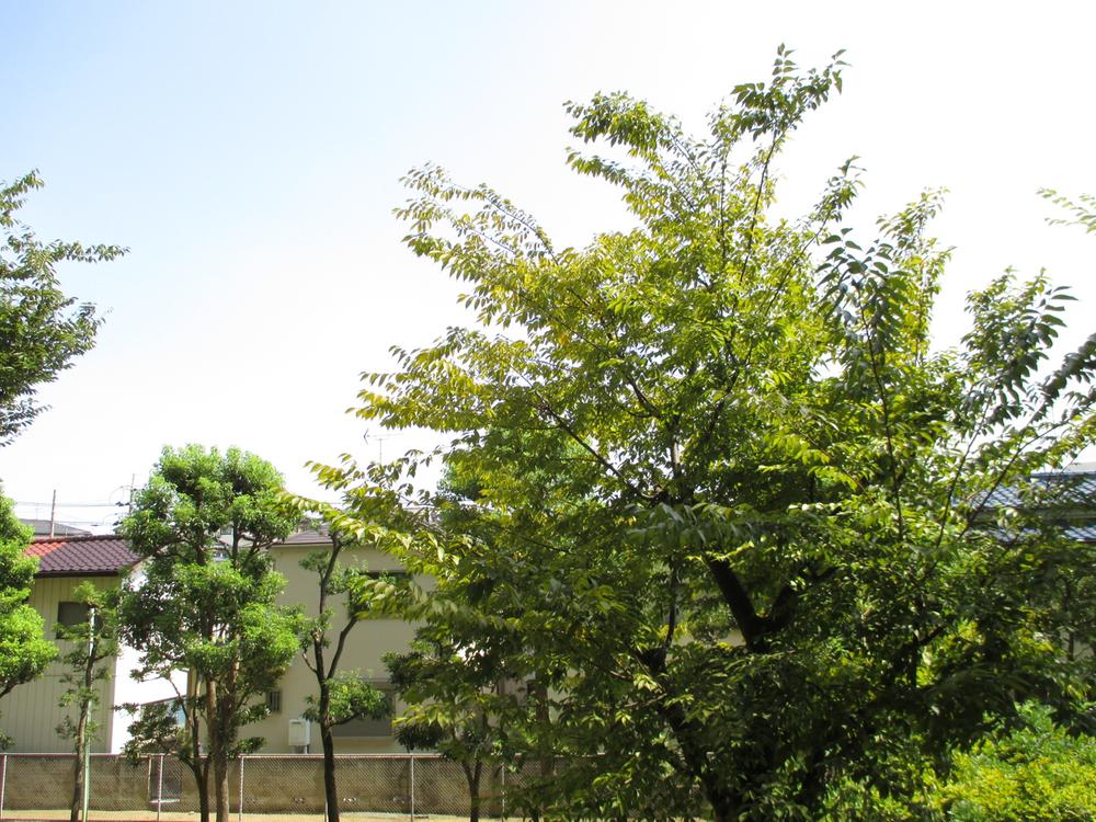 View photos from the dwelling unit. View from the site (August 2013) Shooting