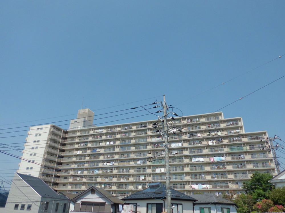 Local appearance photo. Appearance (August 2013 shooting)