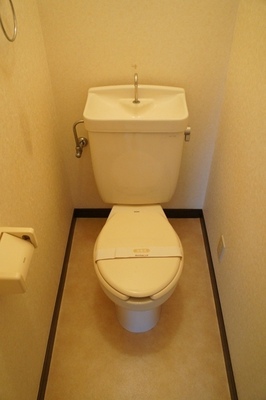 Toilet. The room is a picture