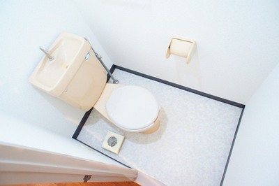 Toilet. Bus toilet independent design