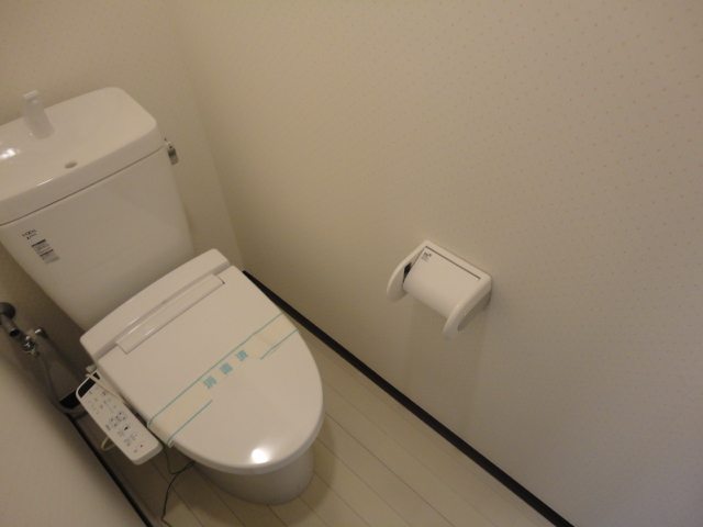 Toilet. It was completed!