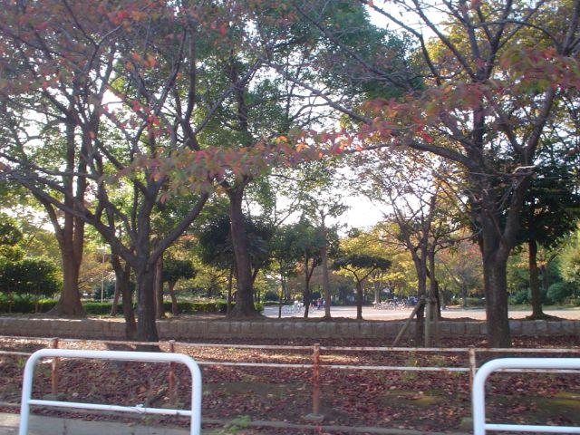 park. Shin-Matsudo 410m to Central Park (park)