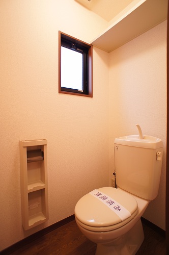 Toilet. Shelf of the upper, Clean storage in paper holder.