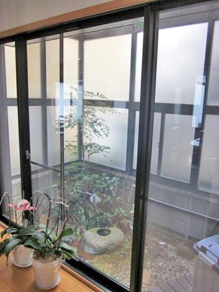 Garden. courtyard