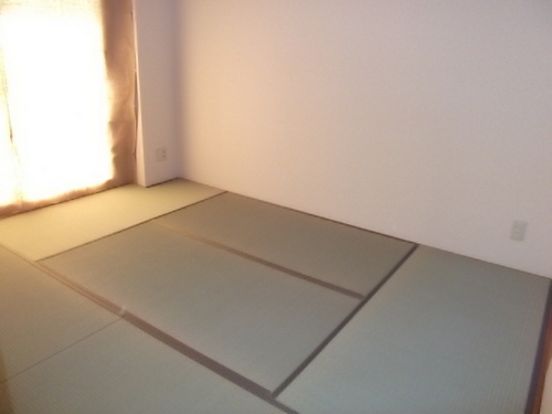 Other room space. Japanese style room