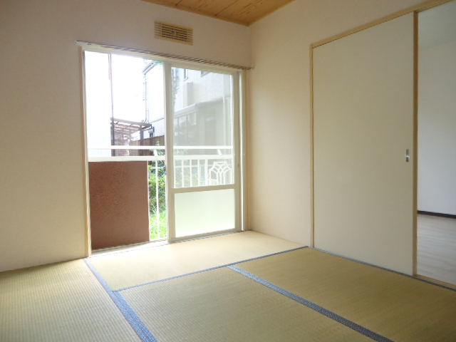 Other room space. Sunny nice Japanese-style room