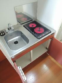 Kitchen. Electric stove 2-neck