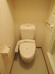 Toilet. With warm water washing toilet seat function