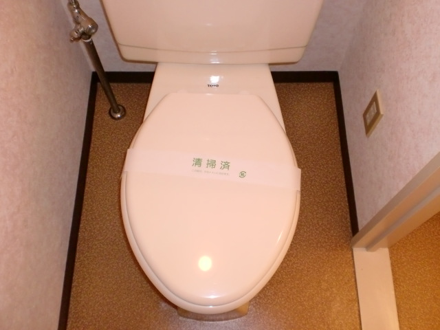 Toilet. A clean toilet white tone