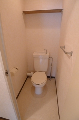 Toilet. Toilet