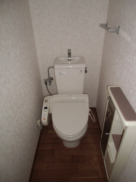 Toilet. With warm water washing toilet seat