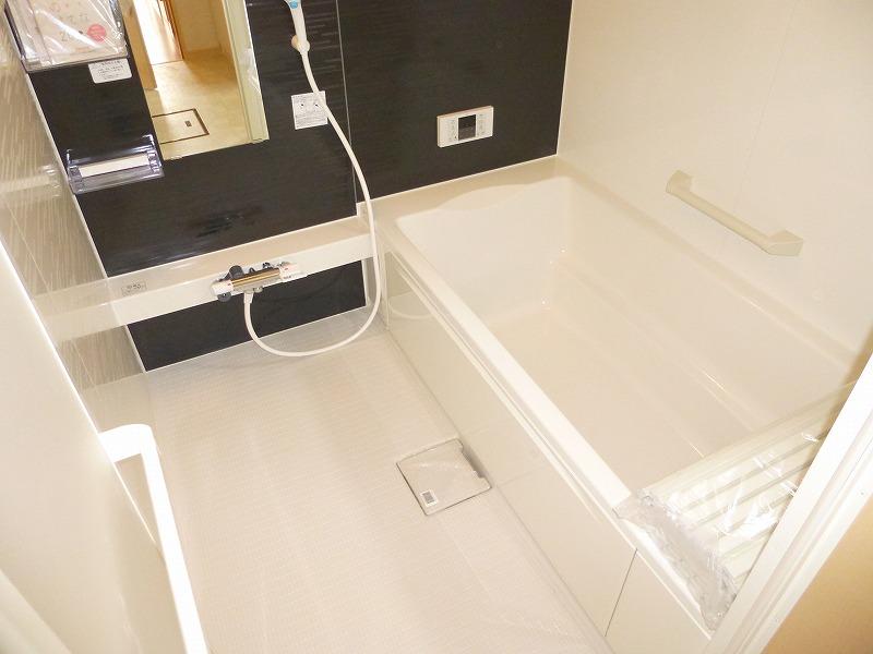 Bathroom. Indoor (December 9, 2013) Shooting