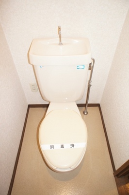 Toilet. Toilet