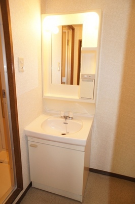 Washroom. Bathroom vanity