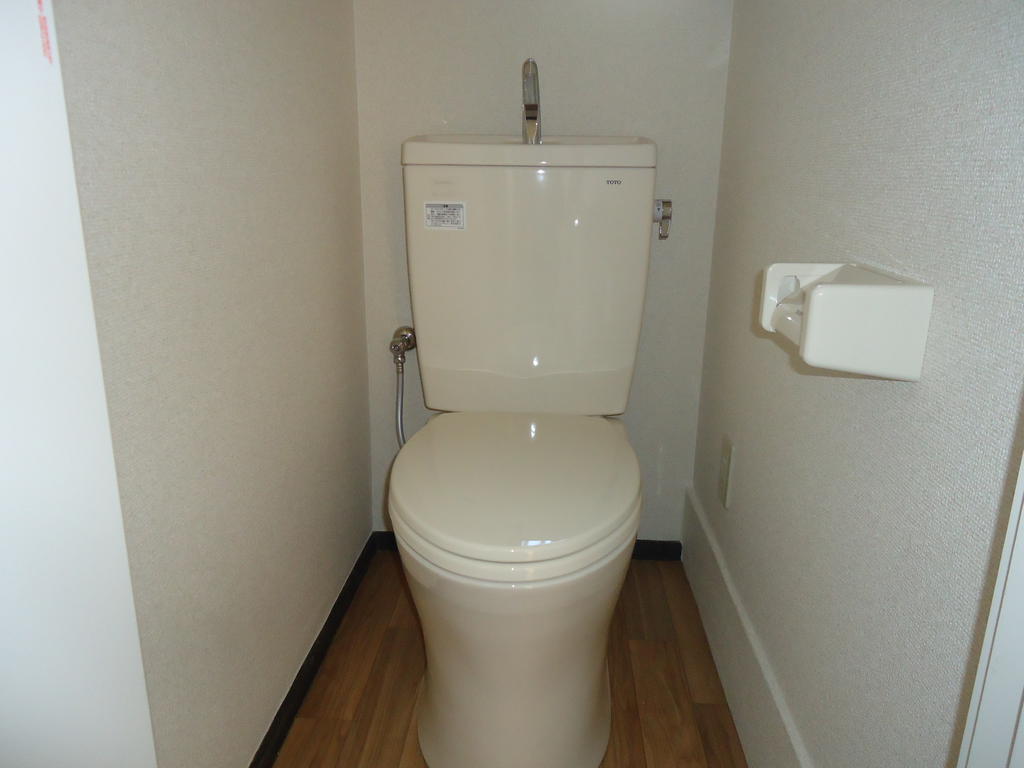 Toilet. It is a restroom with cleanliness