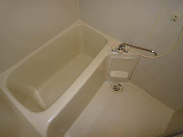 Bath. Spacious spacious clean bathroom