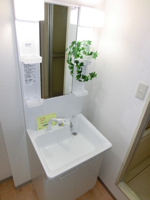 Washroom. Convenient independent wash basin in the morning of preparation