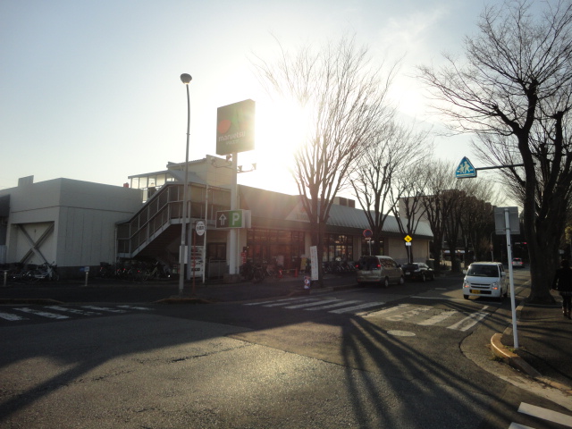 Supermarket. Maruetsu Matsudo store up to (super) 554m