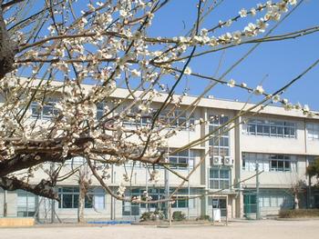 Primary school. 227m to Matsudo Municipal bridle bridge elementary school (elementary school)