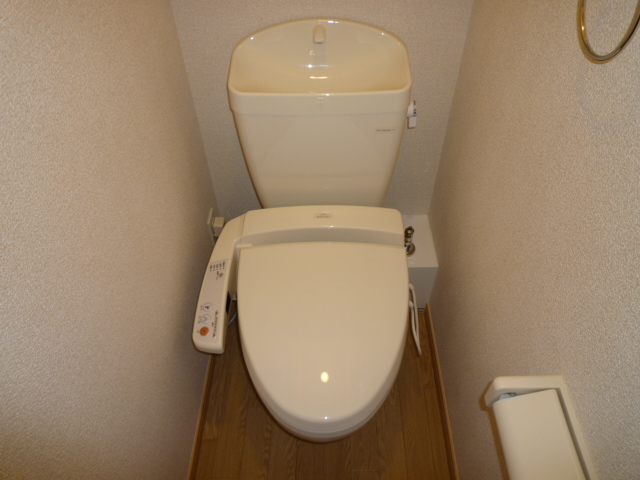 Toilet. Once with warm water washing toilet seat that does not quit if I use