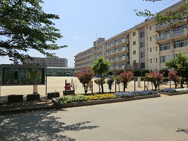 Primary school. Matsudo Municipal Yokosuka until elementary school 200m