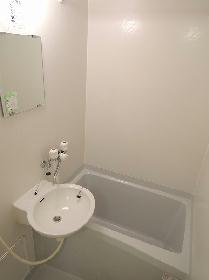 Bath. Basin integrated bathroom