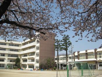 Junior high school. 408m to Matsudo Municipal put away junior high school (junior high school)