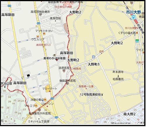 Local guide map