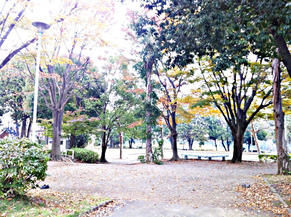 Other. Tomorrow there is a large park in front of the eye