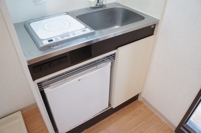 Kitchen. It was organized in a compact mini-kitchen with refrigerator