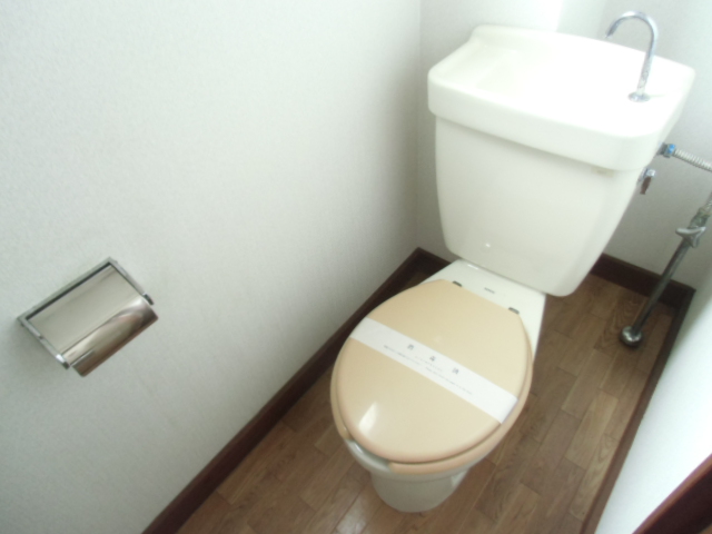 Toilet. There paper holder