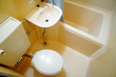 Bath. Toilet sharing of compact design