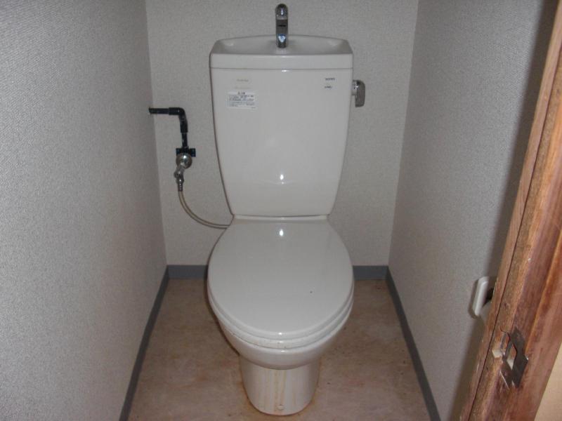 Toilet. Clean toilet