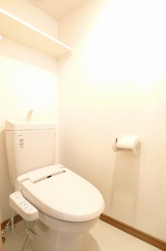 Toilet. Is 102, Room photo of reversal