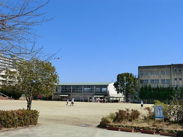 Primary school. Mabashikita 600m up to elementary school