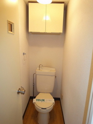 Toilet. Storage rack with toilet