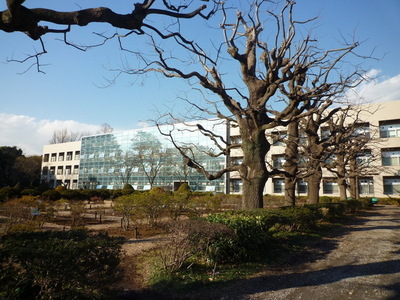 Other. 300m to Chiba University Faculty of Horticulture (Other)