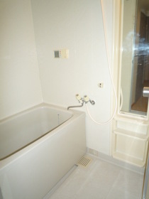 Bath. Add-fired with function, Spacious bath time