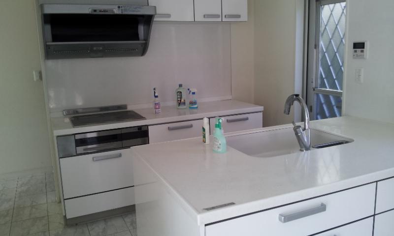 Kitchen. Island Kitchen