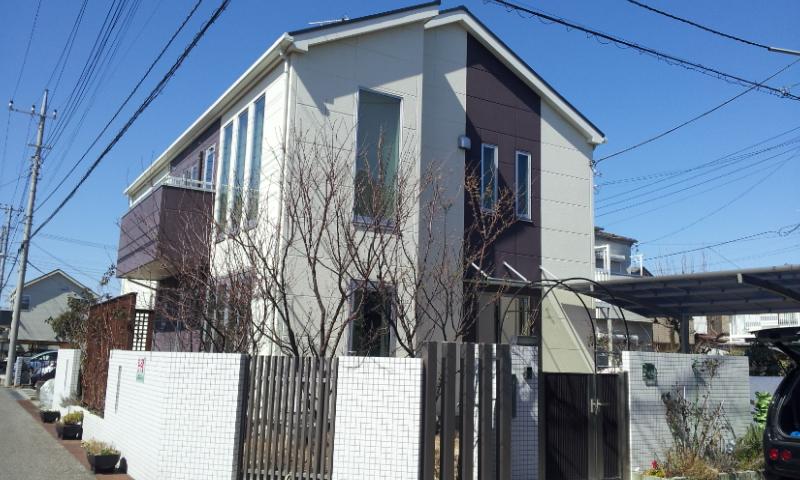 Local appearance photo. It is south-facing corner lot