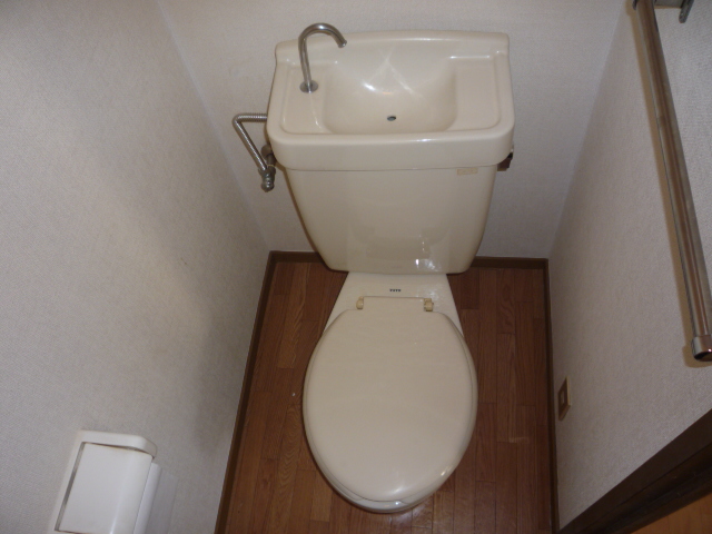 Toilet. Western style, Standard type