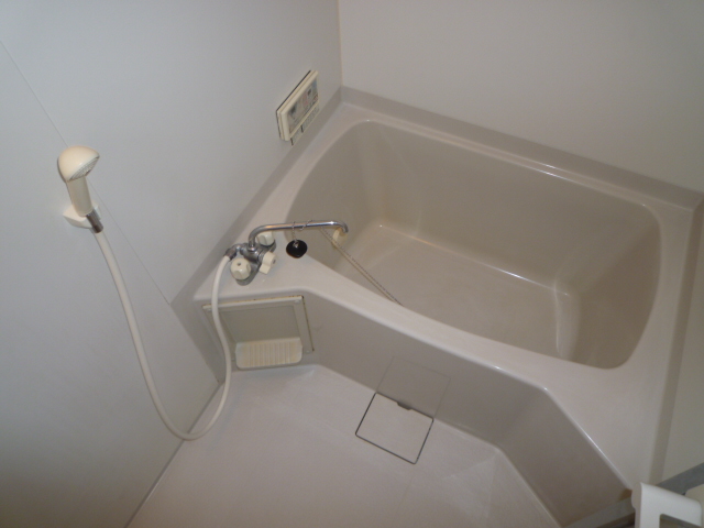 Bath. Spacious spacious reheating bathroom