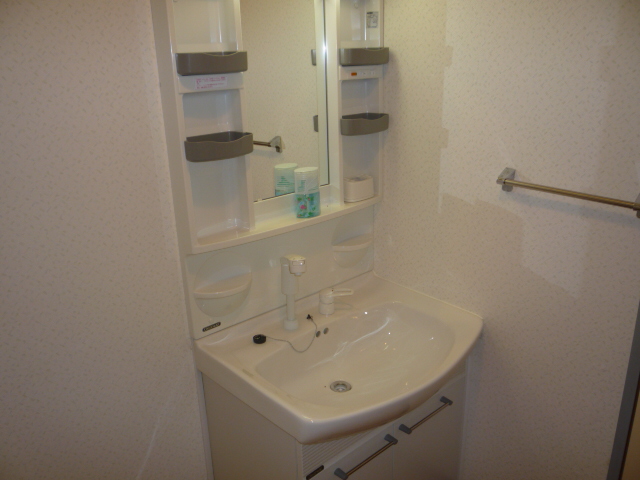 Washroom. Popular equipment Shampoo with Dresser