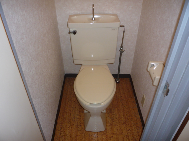 Toilet. Western style room Standard type