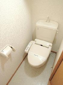 Toilet. With warm water washing toilet seat function