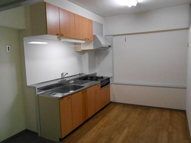 Kitchen. Indoor (July 2013) Shooting