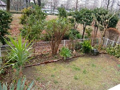 Garden. Local (2013) Shooting